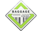 Baggage Pin image